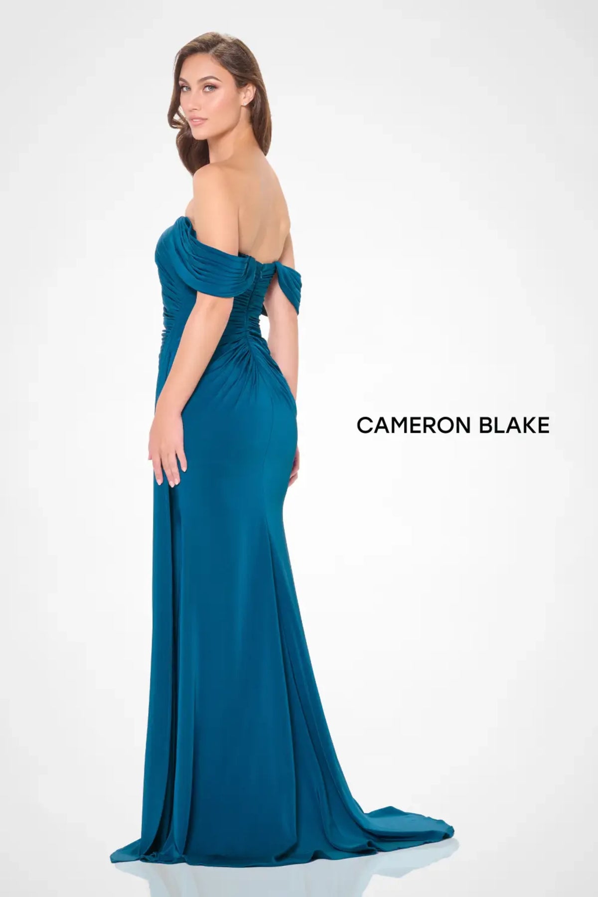 Cameron Blake Mother of the Bride Cameron Blake CB3241 Mother of the Bride Dress
