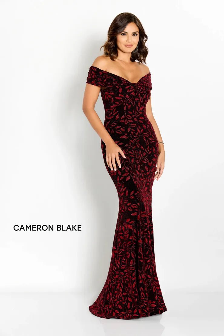 Cameron Blake mother of the bride dress Cameron Blake CB766 Dress