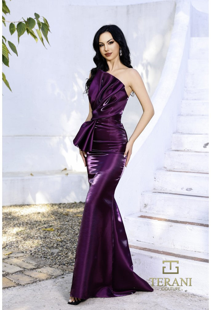 Terani Couture Evening Dress 2 / PLUM Terani Couture 252E5513