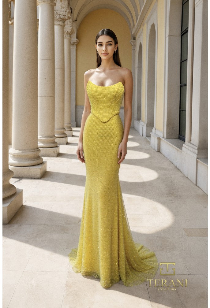 Terani Couture Evening Dress Terani Couture 261P6187