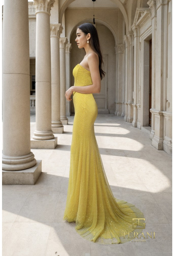 Terani Couture Evening Dress Terani Couture 261P6187