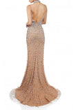 Terani Couture pageant gown Terani Couture 242GL3243