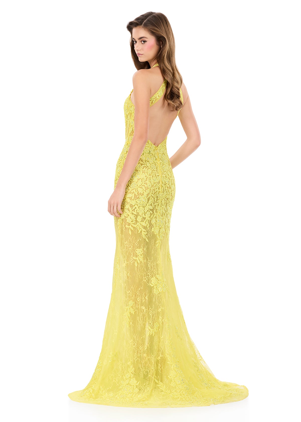 ASHLEYlauren Dresses ASHLEYlauren 12255