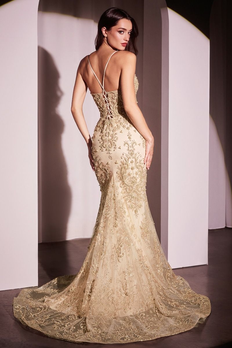 Ladivine Evening Dress Ladivine CC2403