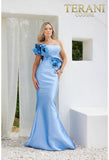 Terani Couture Evening Dress Terani Couture 2011E2424 Evening Dress