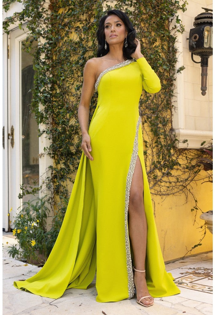 Terani Couture Evening Dress Terani Couture 242E3133