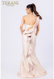 Terani Couture Evening Dress Terani Couture Evening Dress - 2011E2424