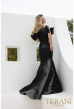 Terani Couture Evening Dresses Terani Couture 241E2407