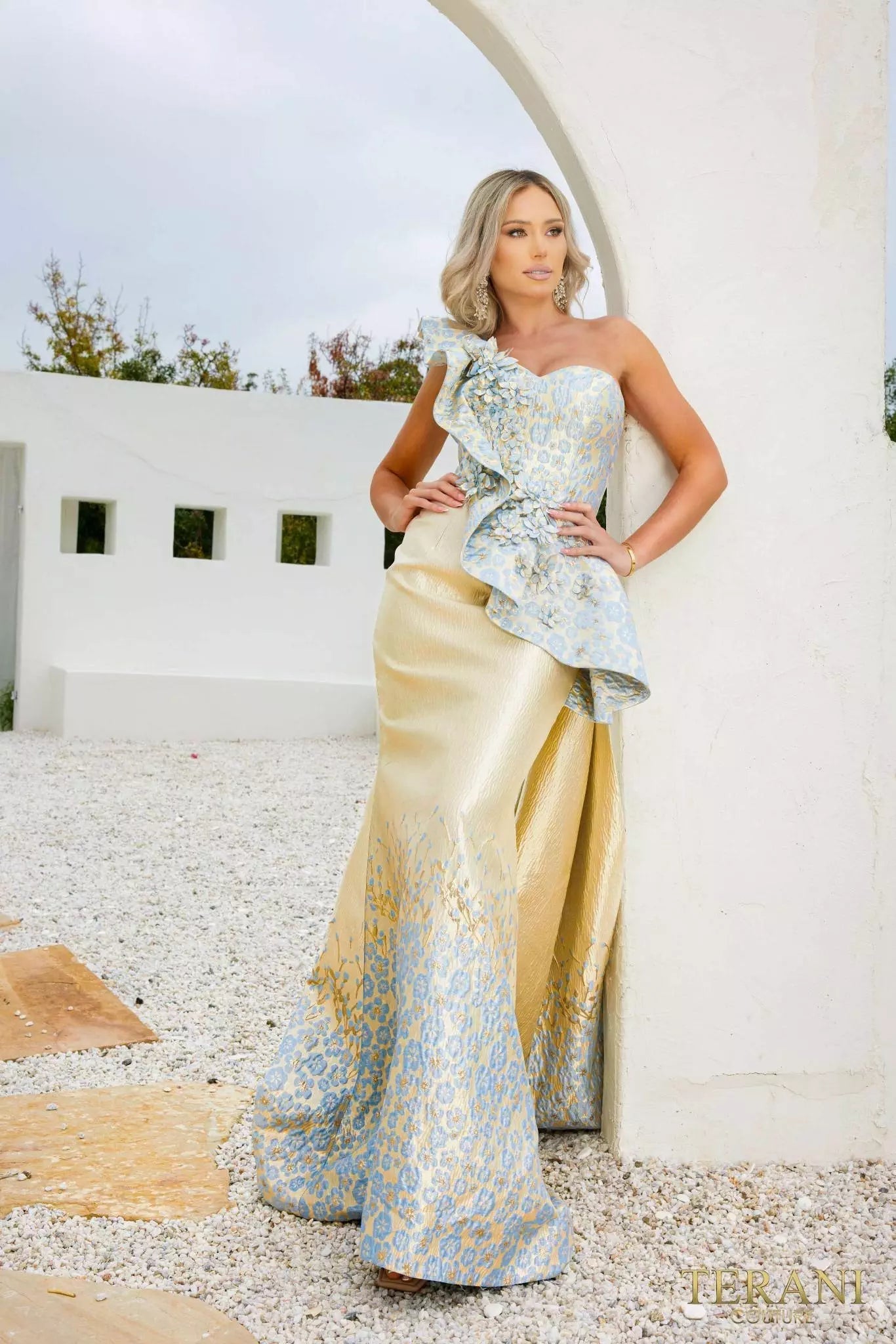 Terani Couture Mother of the Bride Terani Couture 241E2402 evening dress