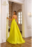 Terani Couture Prom Dress Terani Couture 251P4058