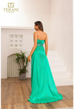 Terani Couture Prom Dress Terani Couture 251P4061 dress