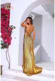 Terani Couture Prom Dress Terani Couture 251P4534