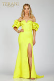 Terani Couture Prom Dress Terani Couture 231P0181